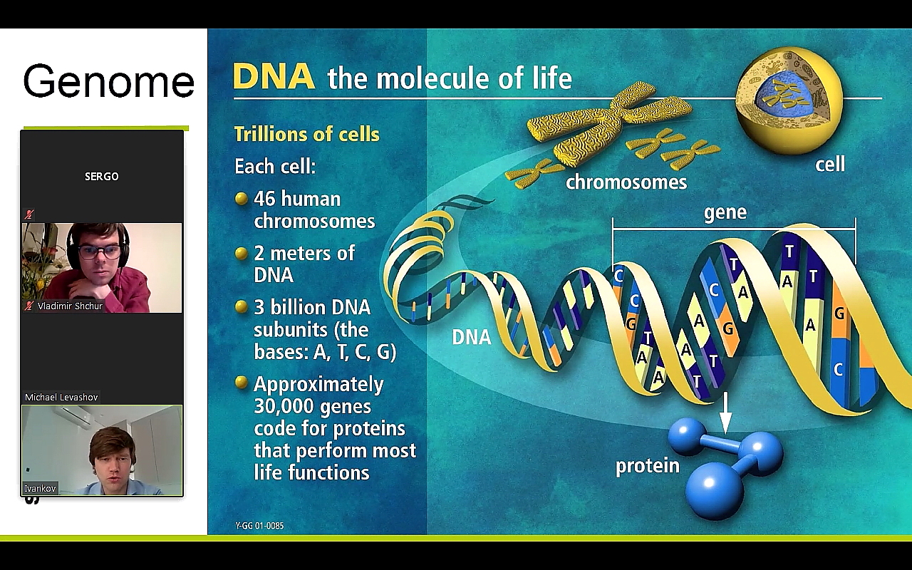 Each cell. ДНК. Гены. Gene Protein trait картинки. The Molecular Level of Life.